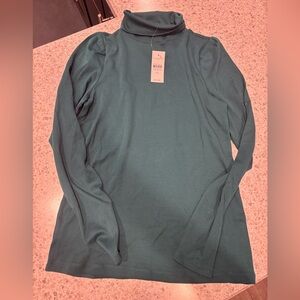 Ann Taylor Green Turtle Neck XS
